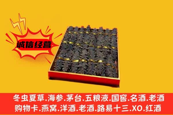 河口区回收海参